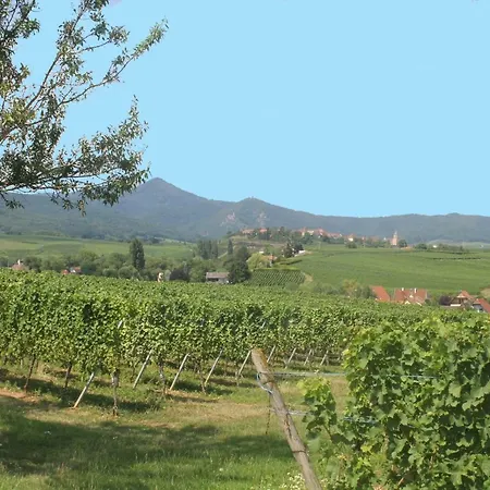 Casa de Férias Des 5 Cigognes Rouge *