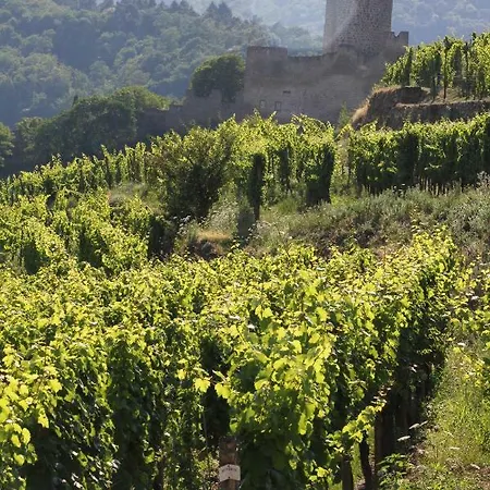 Holiday home Des 5 Cigognes Rouge Mittelwihr