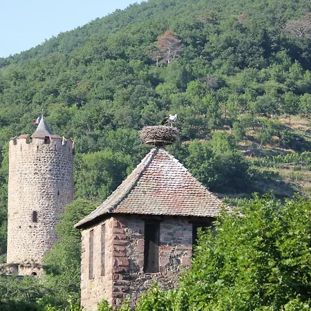 Des 5 Cigognes Rouge *