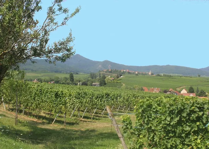 Casa vacanze Des 5 Cigognes Rouge *