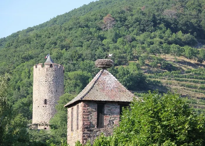 Des 5 Cigognes Rouge *